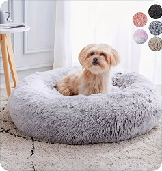 Pet Supplies